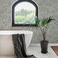 Purchase 4146-27234 A-Street Wallpaper, Rhythmic Grey Leaf Wallpaper - Harmony1