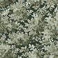 Purchase 4147-80004 A-Street Wallpaper, Greenwood Dark Green Deciduous - Haberdashery