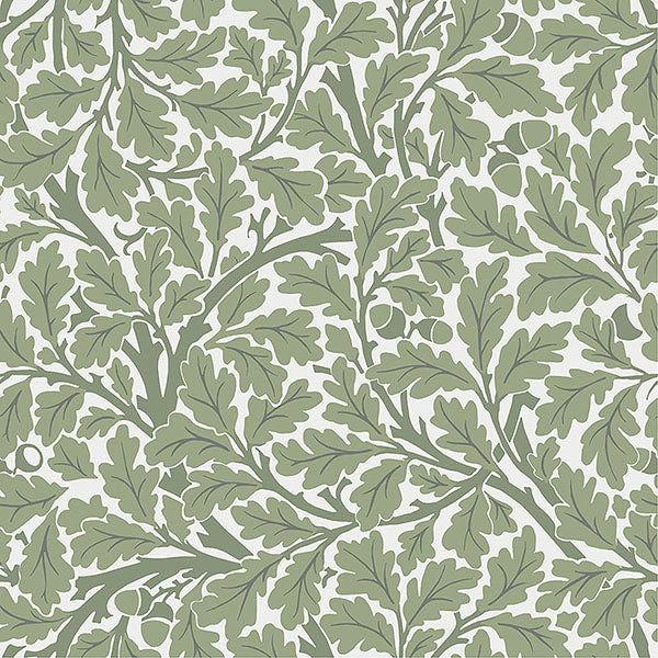 Purchase 4153-82028 A-Street Wallpaper, Oak Tree Green Leaf - Hidden Treasures