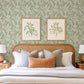 Purchase 4155-27326 A-Street Wallpaper, Anita Sage Woodland Floral - Drew & Jonathan Home IV12