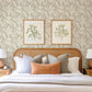 Purchase 4155-27328 A-Street Wallpaper, Anita Beige Woodland Floral - Drew & Jonathan Home IV12