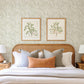 Purchase 4155-27329 A-Street Wallpaper, Anita Dove Woodland Floral - Drew & Jonathan Home IV12