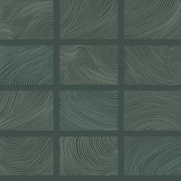 Purchase 4155-72800 A-Street Wallpaper, Bronson Evergreen Topography - Drew & Jonathan Home IV