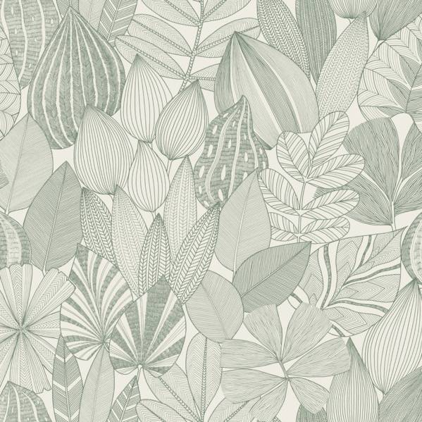 Purchase 4155-72811 A-Street Wallpaper, Mathias Green Botanical - Drew & Jonathan Home IV