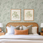 Purchase 4155-72811 A-Street Wallpaper, Mathias Green Botanical - Drew & Jonathan Home IV1