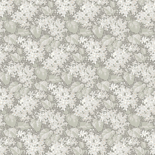 Purchase 4163 | Aratorp, Stone - Borastapeter Wallpaper