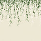 Purchase 4164-50942 Advantage Wallpaper, Trailing Ivy Green Wall Mural - Westbury Forest