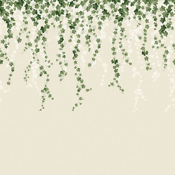 Purchase 4164-50942 Advantage Wallpaper, Trailing Ivy Green Wall Mural - Westbury Forest