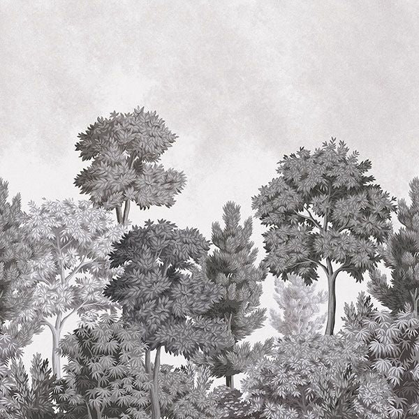 Purchase 4164-50945 Advantage Wallpaper, Delamere Mono Wall Mural - Westbury Forest