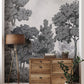 Purchase 4164-50945 Advantage Wallpaper, Delamere Mono Wall Mural - Westbury Forest12