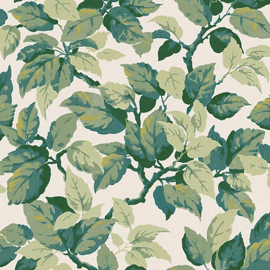 Purchase 4164-M1804 Advantage Wallpaper, Canopy Green Leaf - Westbury Forest
