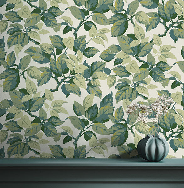 Purchase 4164-M1804 Advantage Wallpaper, Canopy Green Leaf - Westbury Forest1