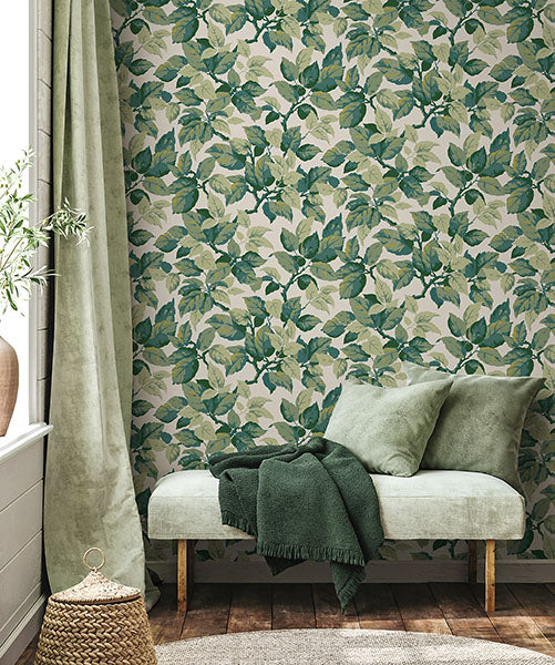 Purchase 4164-M1804 Advantage Wallpaper, Canopy Green Leaf - Westbury Forest12
