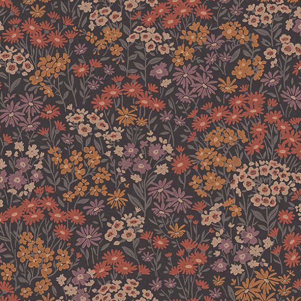 Purchase 4164-M1812 Advantage Wallpaper, Ditsy Orange Daisies - Westbury Forest