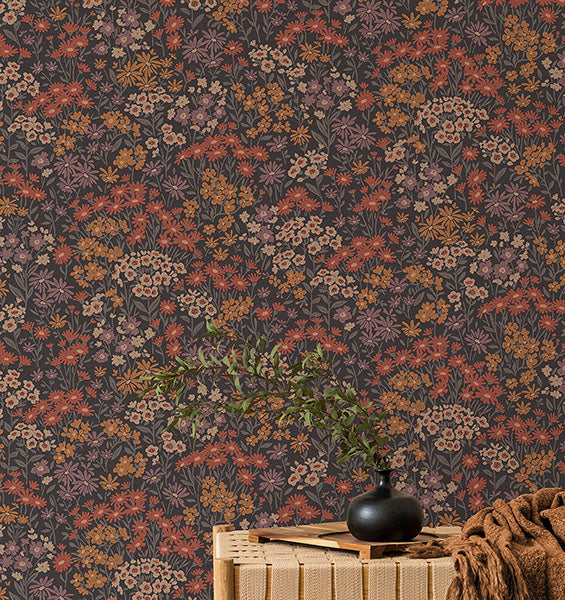 Purchase 4164-M1812 Advantage Wallpaper, Ditsy Orange Daisies - Westbury Forest1