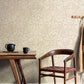 Purchase 4164-M1817 Advantage Wallpaper, Marlow Beige Bird Vine - Westbury Forest12