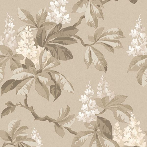 Purchase 4164-M1820 Advantage Wallpaper, Chestnut Beige Floral - Westbury Forest