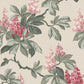 Purchase 4164-M1822 Advantage Wallpaper, Chestnut Pink Floral - Westbury Forest