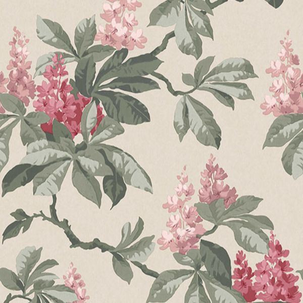 Purchase 4164-M1822 Advantage Wallpaper, Chestnut Pink Floral - Westbury Forest