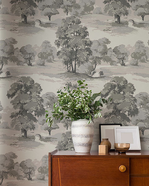 Purchase 4164-M1831 Advantage Wallpaper, Sherwood Grey Glade - Westbury Forest1