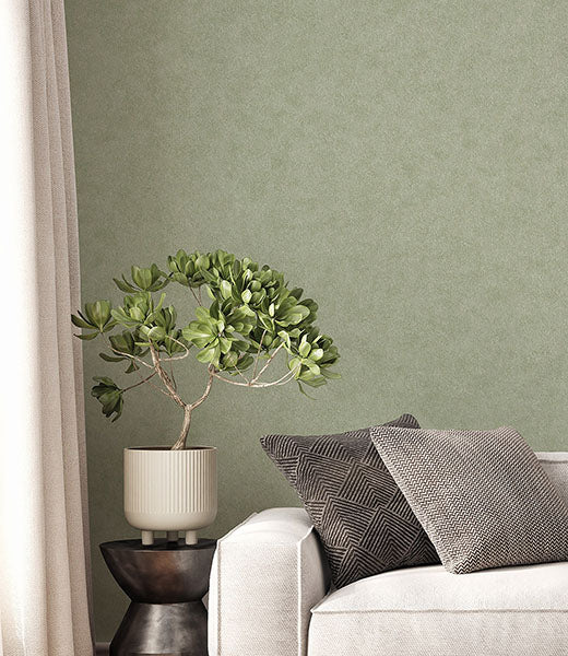 Purchase 4164-M1837 Advantage Wallpaper, Heritage Green Plain - Westbury Forest12
