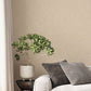 Purchase 4164-M1838 Advantage Wallpaper, Heritage Beige Plain - Westbury Forest12