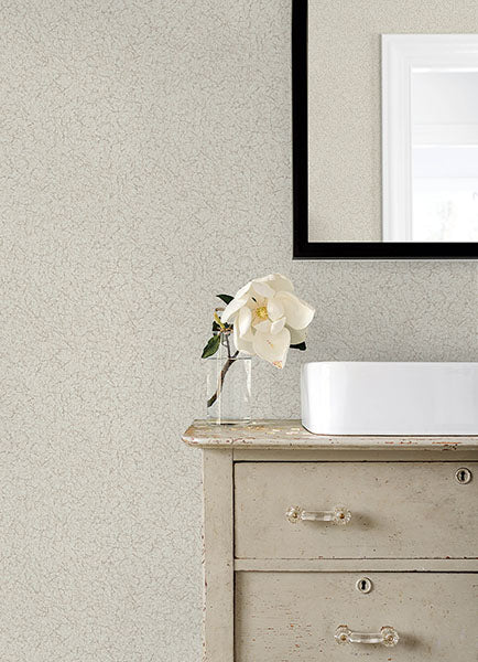 Purchase 4168-19916 Advantage Wallpaper, Crushed Capiz Dove Textured - Kitchen & Bath 21