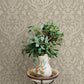Purchase 4169-12706 Chesapeake Wallpaper, Kiwassa Sage Antler Damask - Oak & Moss12