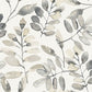 Purchase 4169-13910 Chesapeake Wallpaper, Pinnate Charcoal Leaves - Oak & Moss