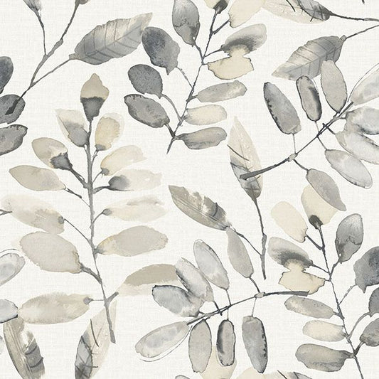 Purchase 4169-13910 Chesapeake Wallpaper, Pinnate Charcoal Leaves - Oak & Moss