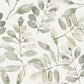 Purchase 4169-13911 Chesapeake Wallpaper, Pinnate Green Leaves - Oak & Moss