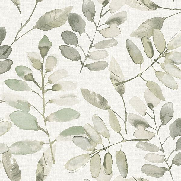 Purchase 4169-13911 Chesapeake Wallpaper, Pinnate Green Leaves - Oak & Moss