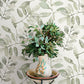 Purchase 4169-13911 Chesapeake Wallpaper, Pinnate Green Leaves - Oak & Moss12