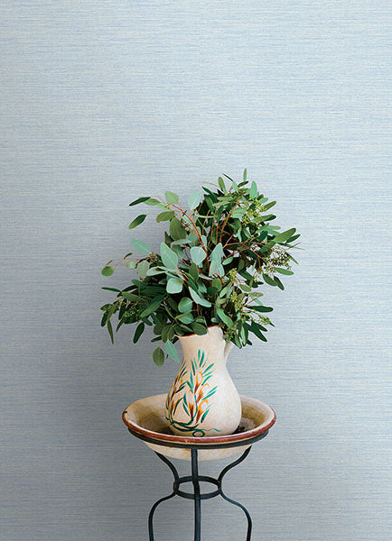 Purchase 4169-24283 Chesapeake Wallpaper, Agave Sky Blue Faux Grasscloth - Oak & Moss12