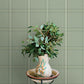 Purchase 4169-27609 Chesapeake Wallpaper, Auberge Sage Plaid - Oak & Moss12