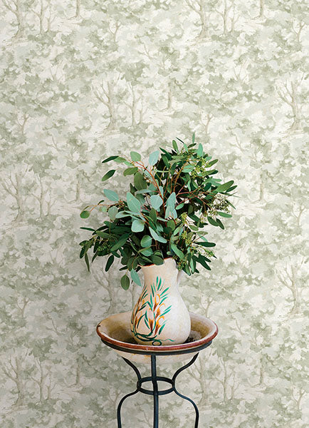 Purchase 4169-83109 Chesapeake Wallpaper, Thicket Sage Forest - Oak & Moss12