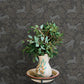 Purchase 4169-83114 Chesapeake Wallpaper, Revelry Black Forest Frolic - Oak & Moss12