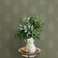 Purchase 4169-83126 Chesapeake Wallpaper, Frond Dark Green Leaf - Oak & Moss12
