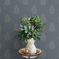 Purchase 4169-83127 Chesapeake Wallpaper, Frond Denim Leaf - Oak & Moss12