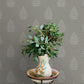 Purchase 4169-83128 Chesapeake Wallpaper, Frond Charcoal Leaf - Oak & Moss12