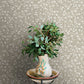 Purchase 4169-83131 Chesapeake Wallpaper, Poppy Trail Grey Floral - Oak & Moss12