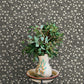 Purchase 4169-83133 Chesapeake Wallpaper, Poppy Trail Black Floral - Oak & Moss12