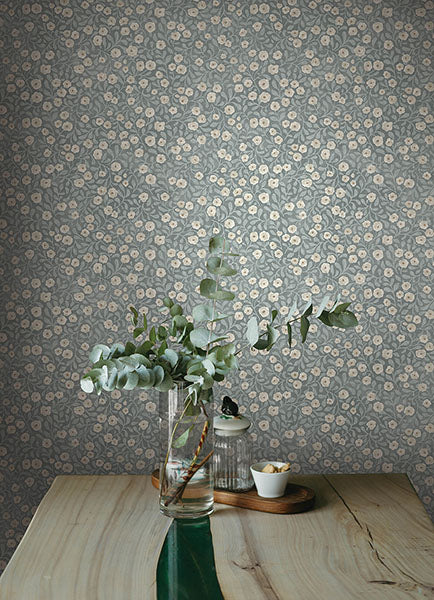 Purchase 4169-83134 Chesapeake Wallpaper, Poppy Trail Light Blue Floral - Oak & Moss1
