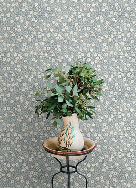Purchase 4169-83134 Chesapeake Wallpaper, Poppy Trail Light Blue Floral - Oak & Moss12