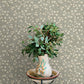 Purchase 4169-83136 Chesapeake Wallpaper, Poppy Trail Aqua Floral - Oak & Moss12