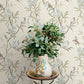 Purchase 4169-83137 Chesapeake Wallpaper, Tea Olive Beige Finch Frolic - Oak & Moss12