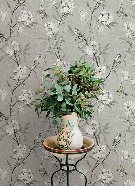 Purchase 4169-83141 Chesapeake Wallpaper, Tea Olive Gray Finch Frolic - Oak & Moss12