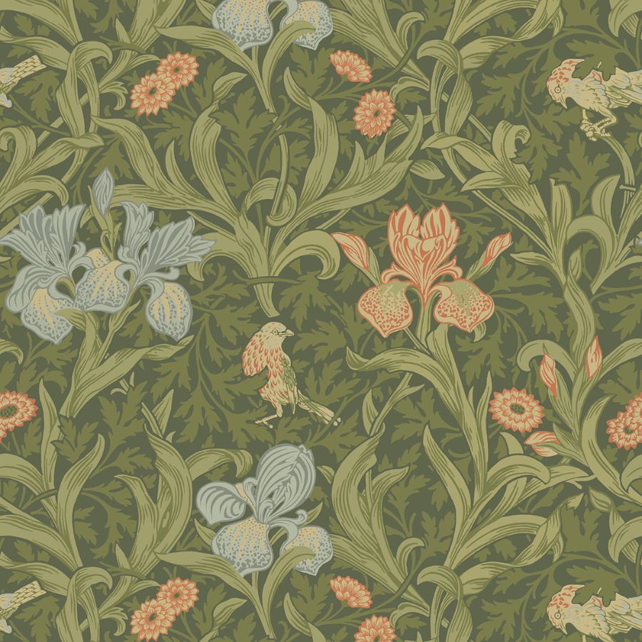 Purchase 4171-82050 A-Street Wallpaper, Iris Green Wild Gardens - Hidden Treasures 2