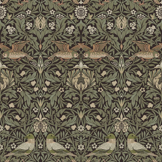 Purchase 4171-82064 A-Street Wallpaper, Bird Brown Floral Thicket - Hidden Treasures 2