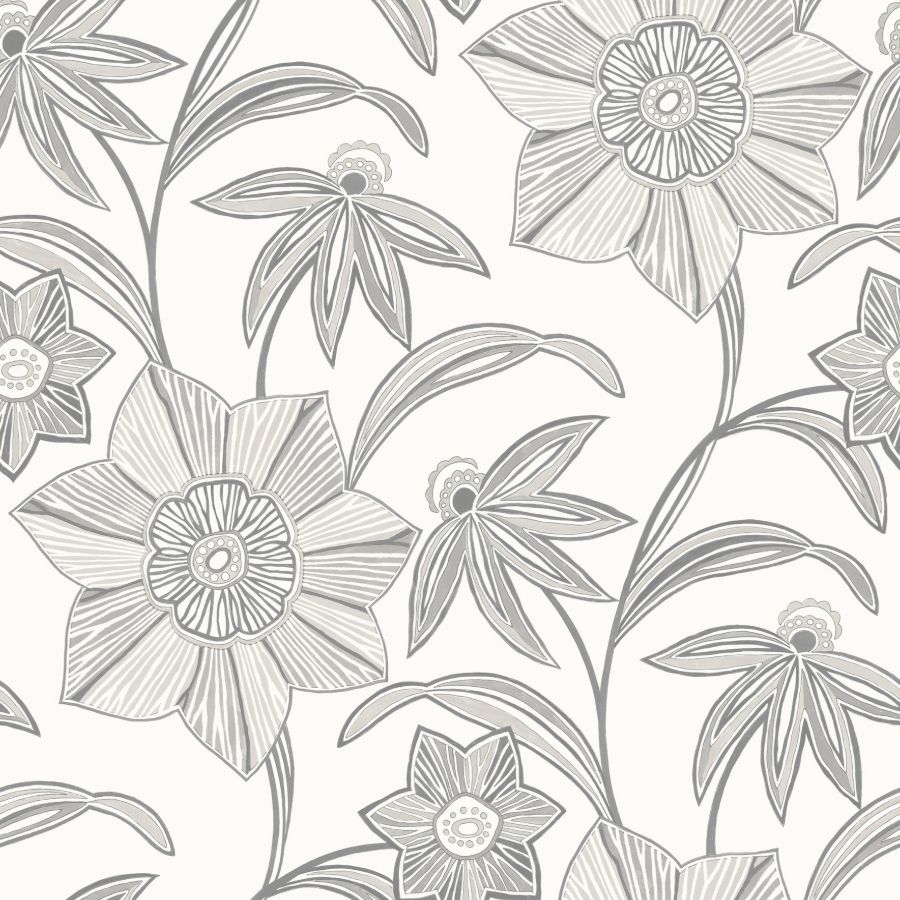 Purchase 4172-27514 A-Street Wallpaper, Star Flower Charcoal Floral Trail - Sea Salt